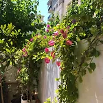 Forget Me Not Apartment Boutique Sitges