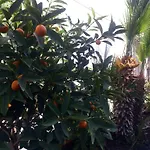 Apartaments Villa Conchi