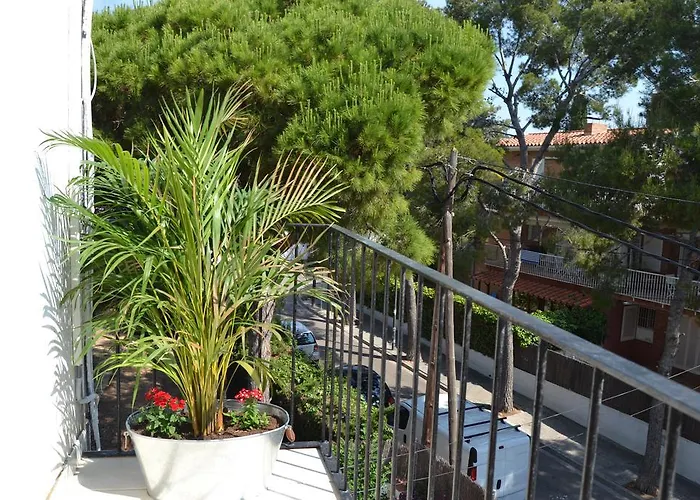 Studio Carrer De Valencia