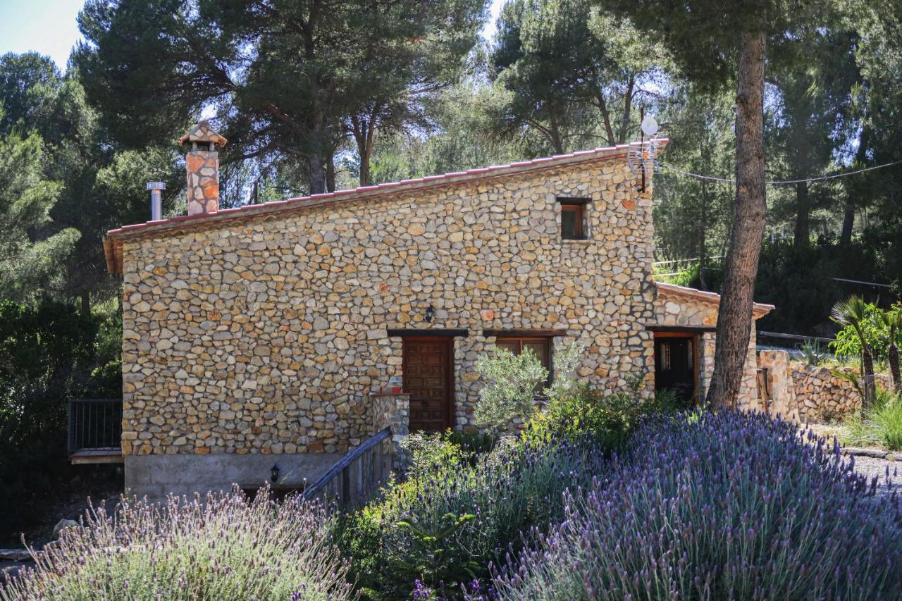 Masia Pou De La Vinya Apartamento