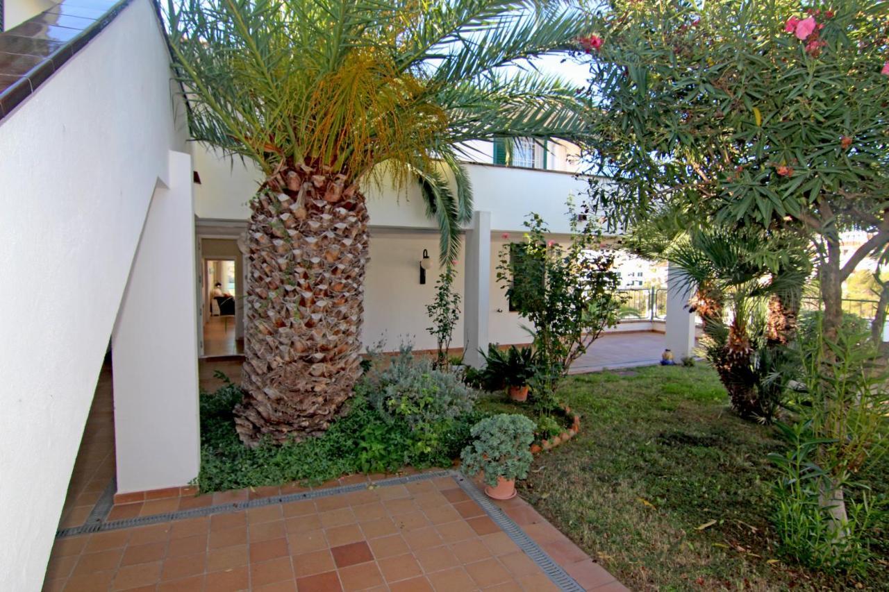 Apartment Viva - View