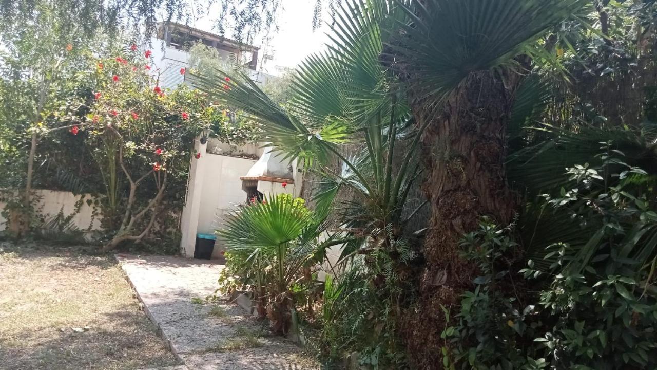 - Jardin En Playa San Sebastian *