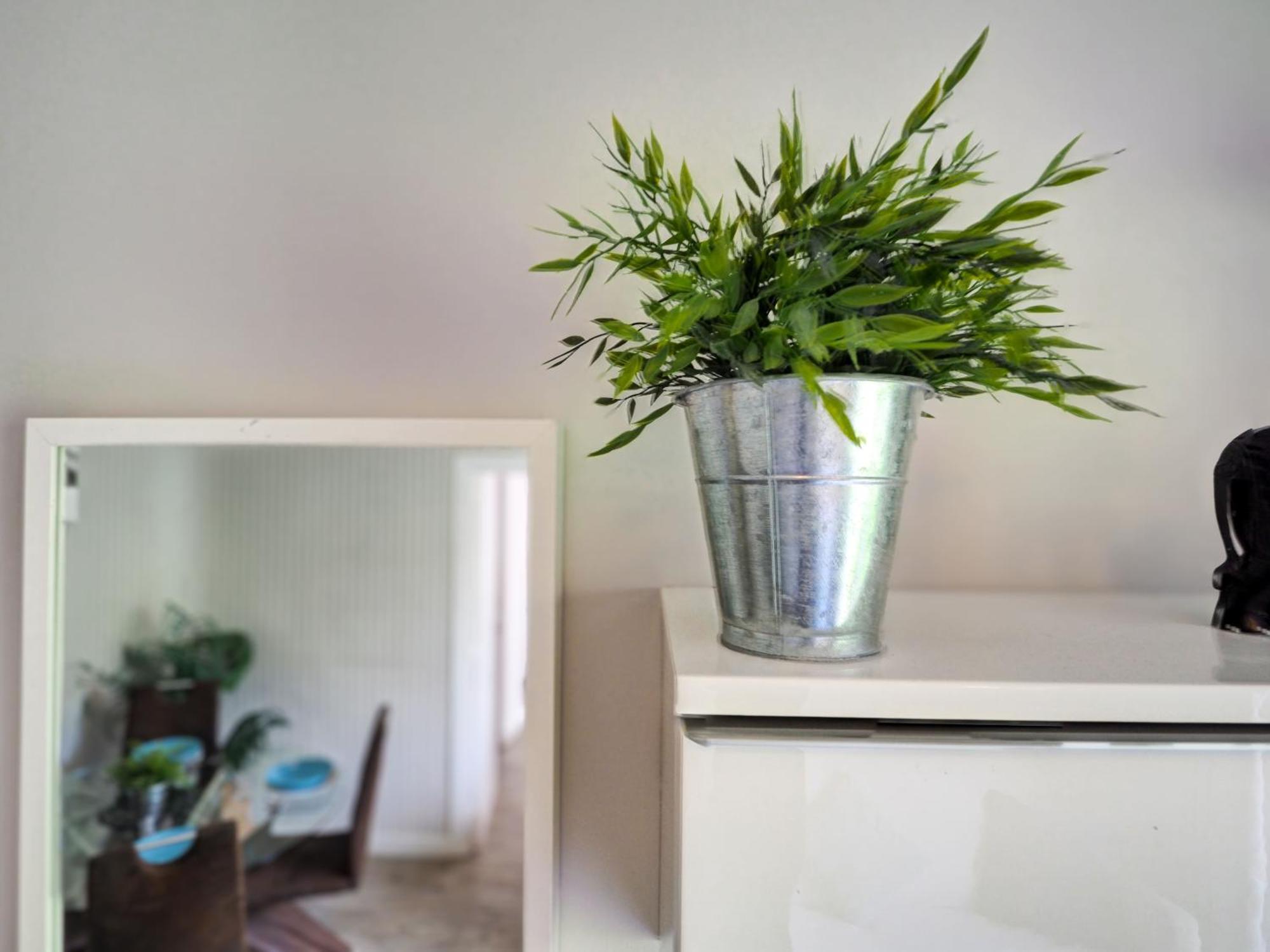 Pura Vida By Hello Homes Apartment