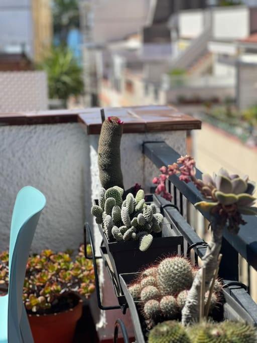 Pure Chill Centre * Sitges