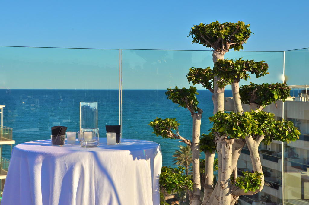 Hotel Mim & 4*