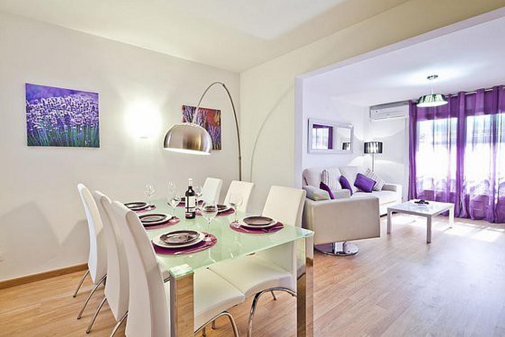 Apartment Lavander