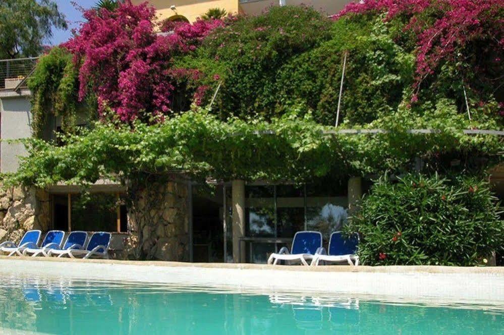 Apartment Casa Roca