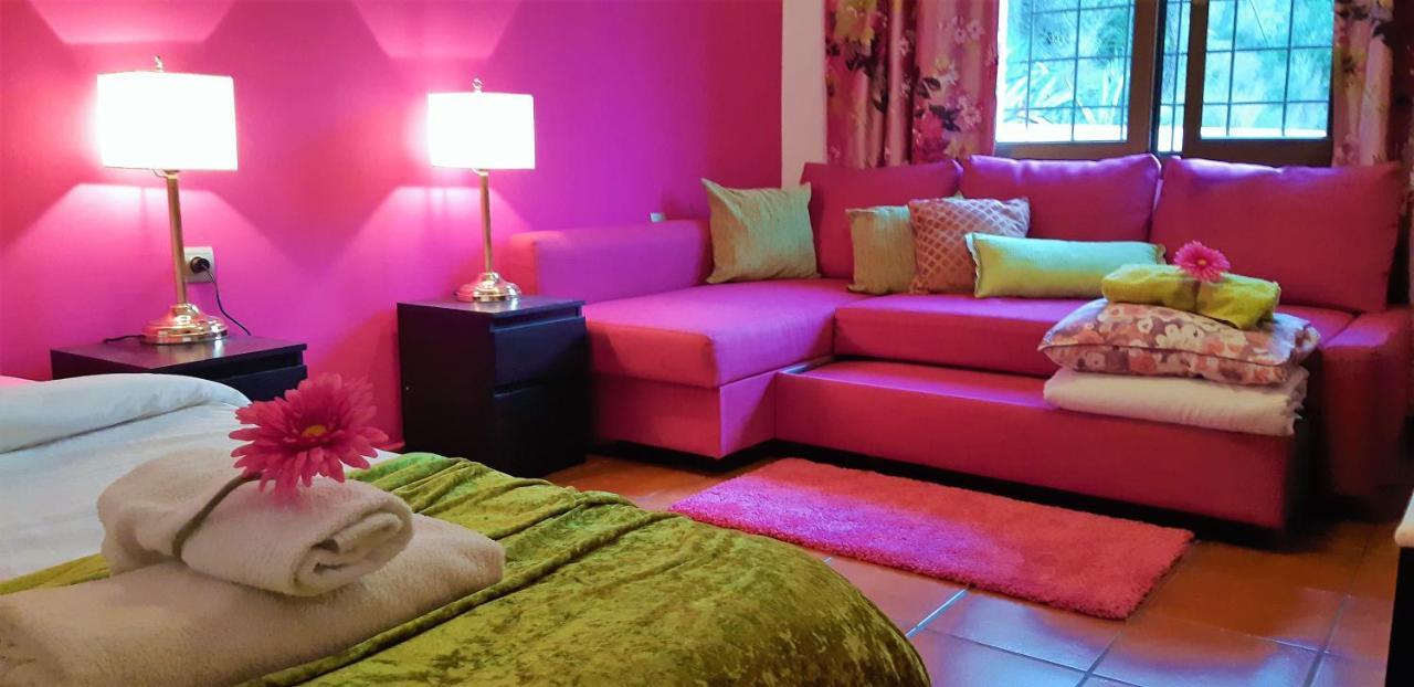 Bed & Breakfast Ashram Sunshine *