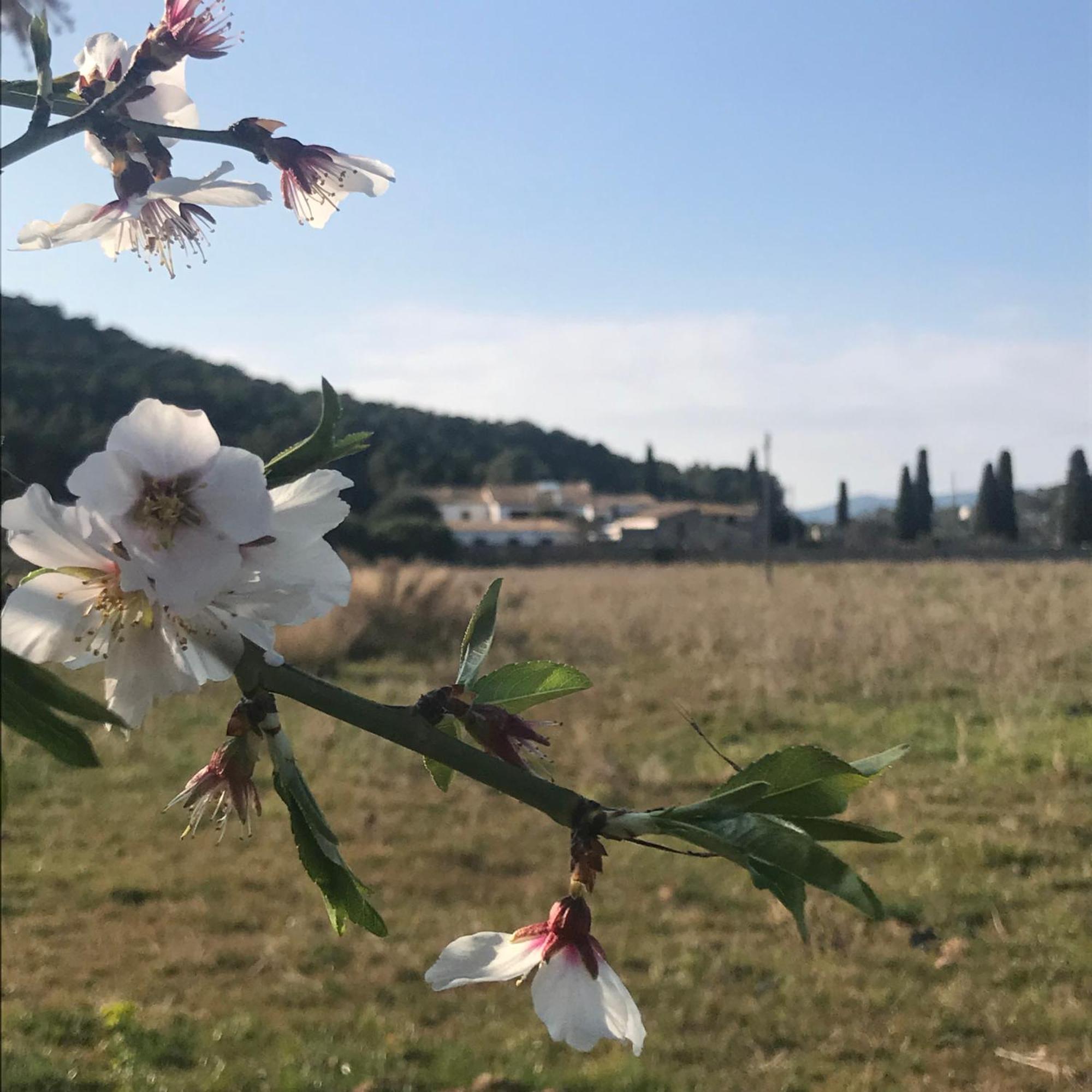 Сasa de vacaciones Masia Centenaria En