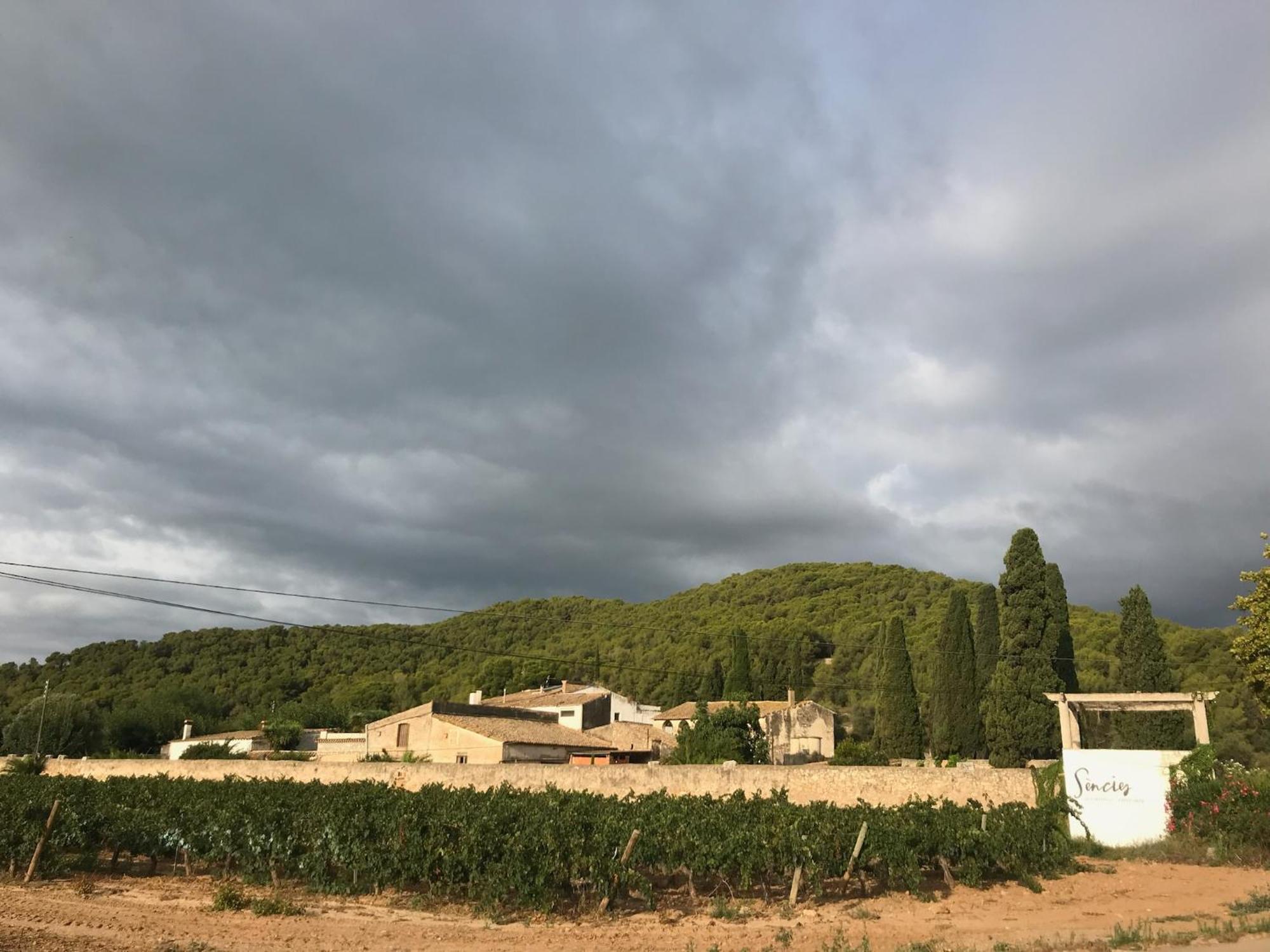 Masia Centenaria En Сasa de vacaciones