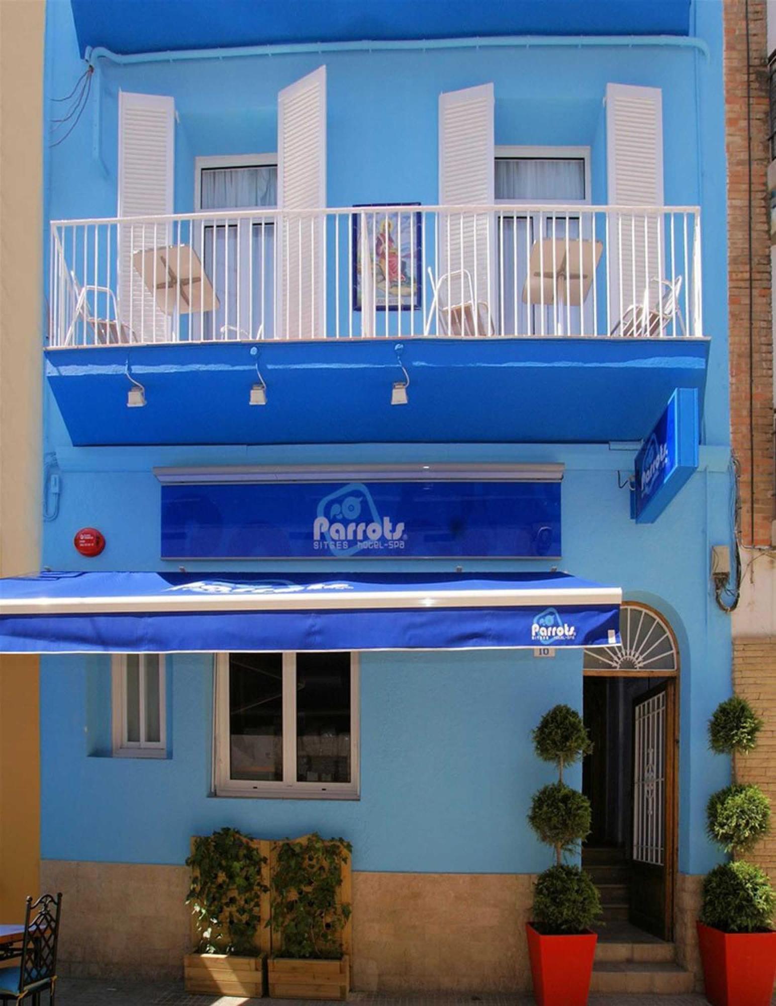 Parrots Sitges