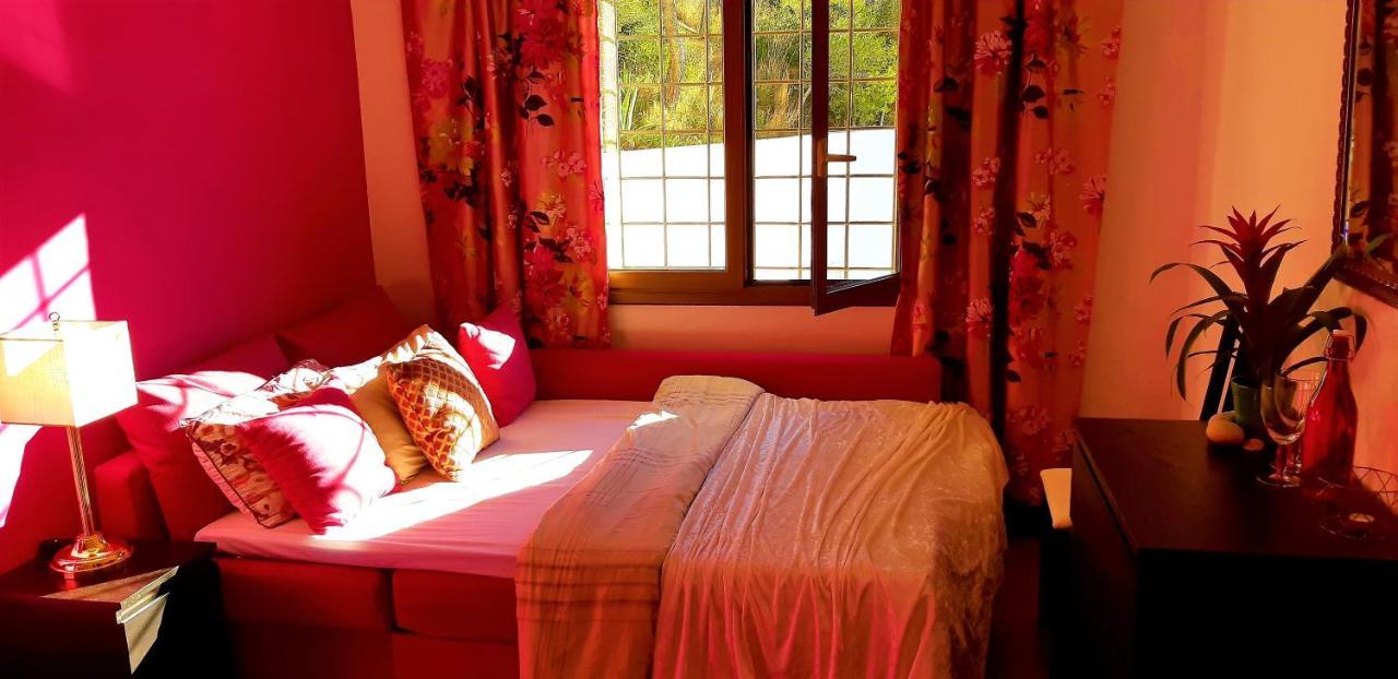 Ashram Sunshine Bed and breakfast *