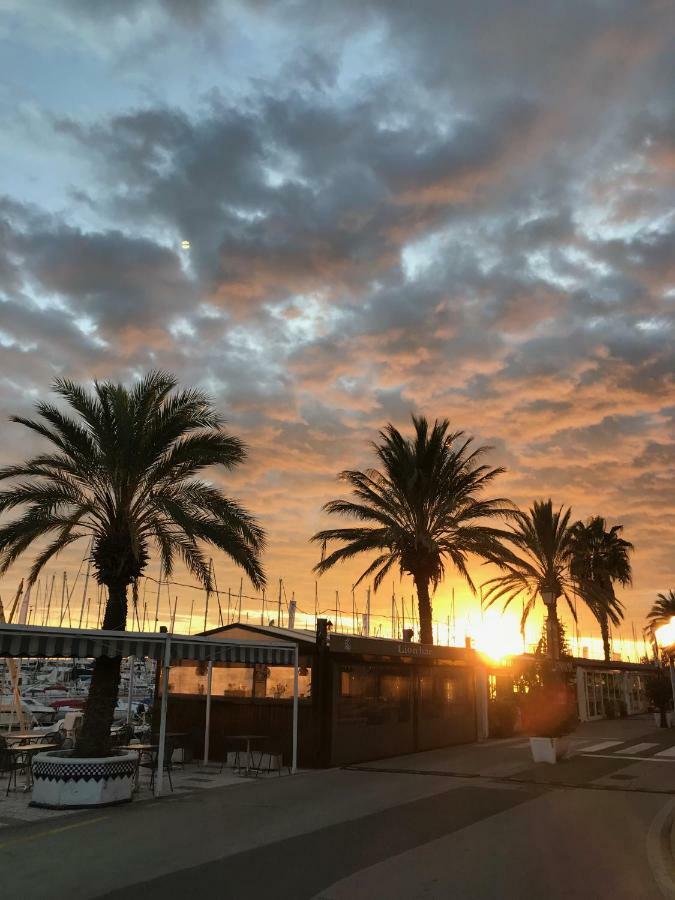 Estudio En Port Aiguadolc *