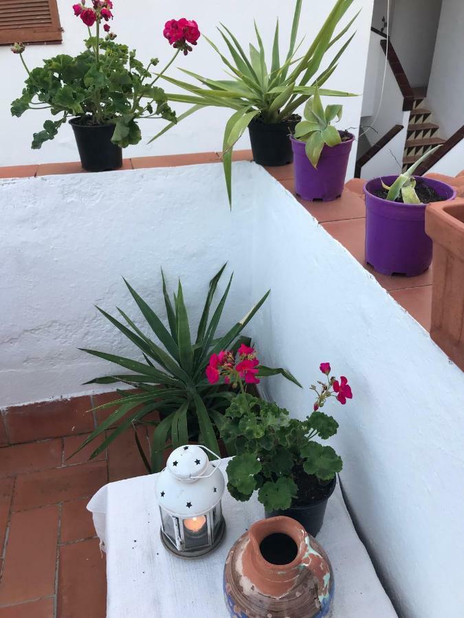 Estudio En Port Aiguadolc
